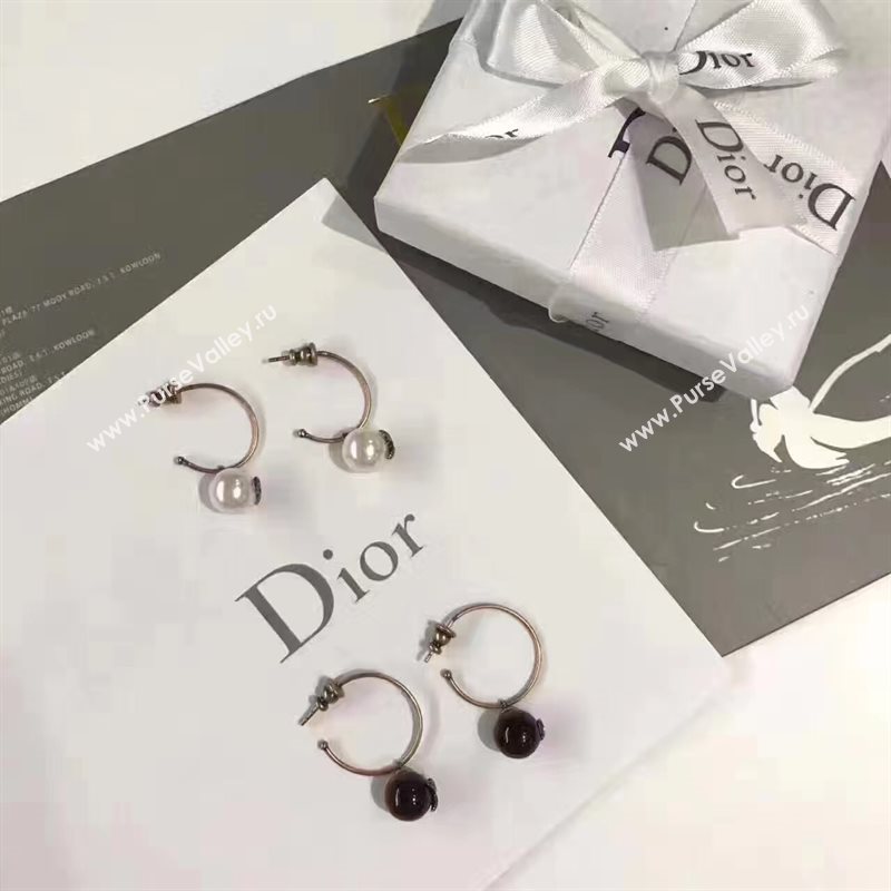Dior earrings 3830