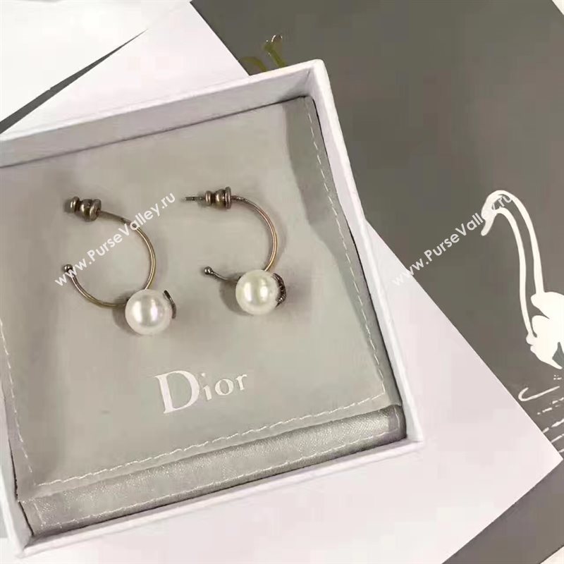 Dior earrings 3830