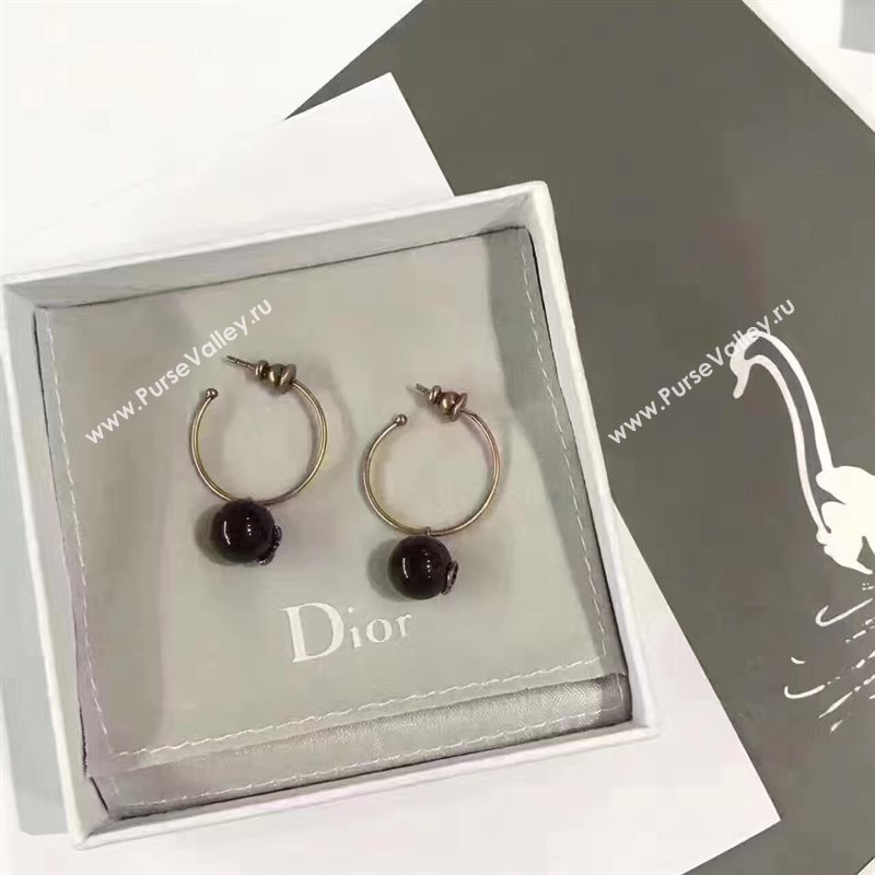 Dior earrings 3830