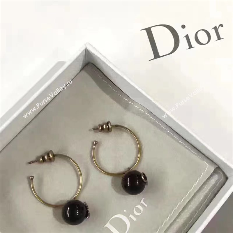 Dior earrings 3830