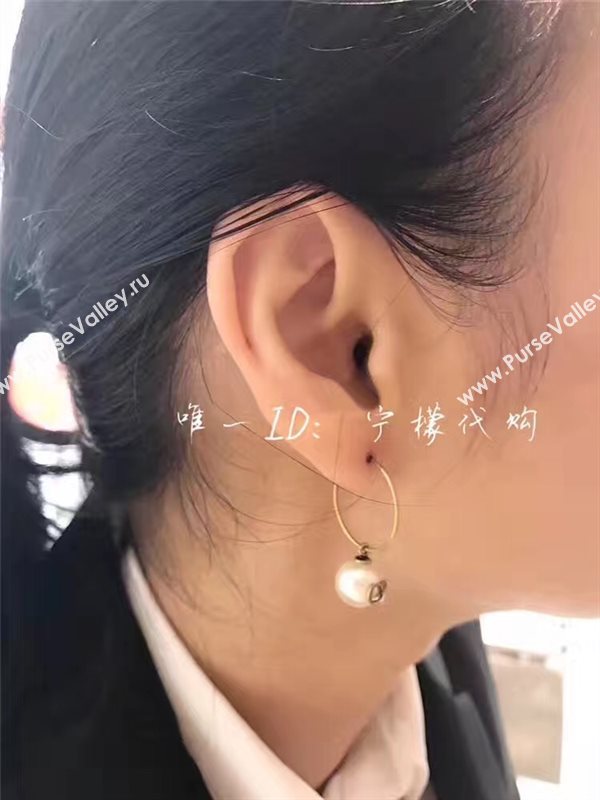 Dior earrings 3830