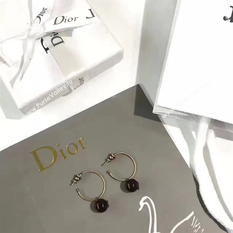 Dior earrings 3830