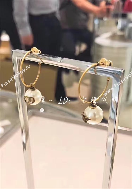 Dior earrings 3830