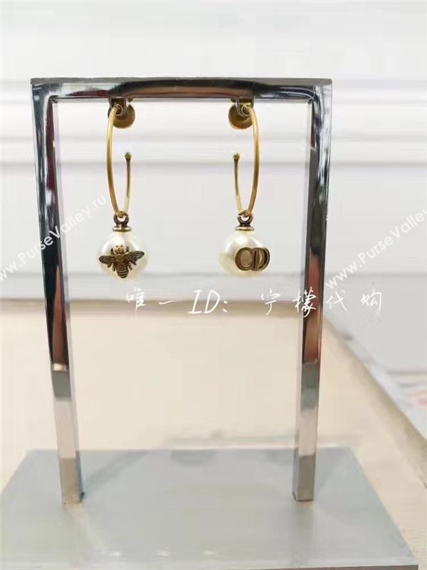 Dior earrings 3830
