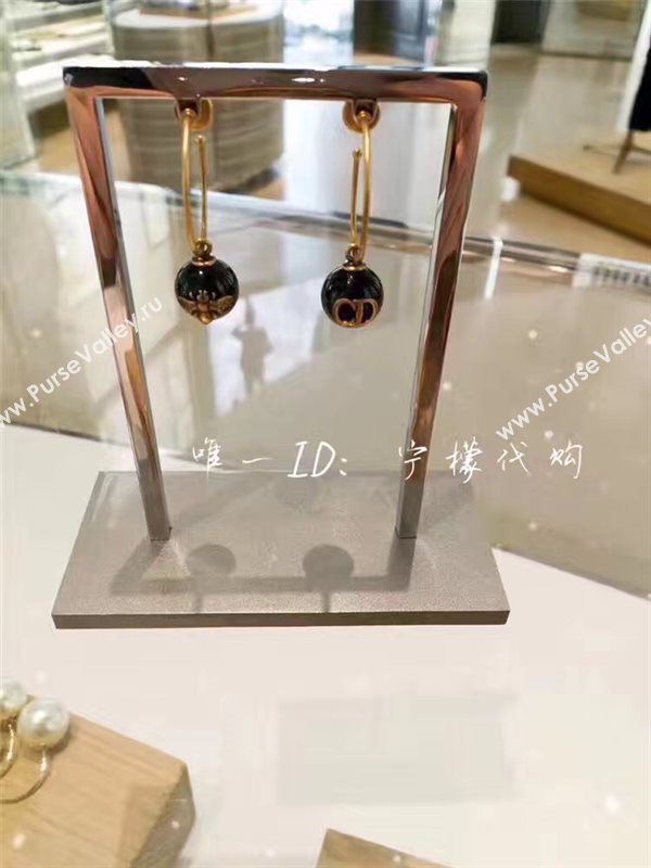 Dior earrings 3830