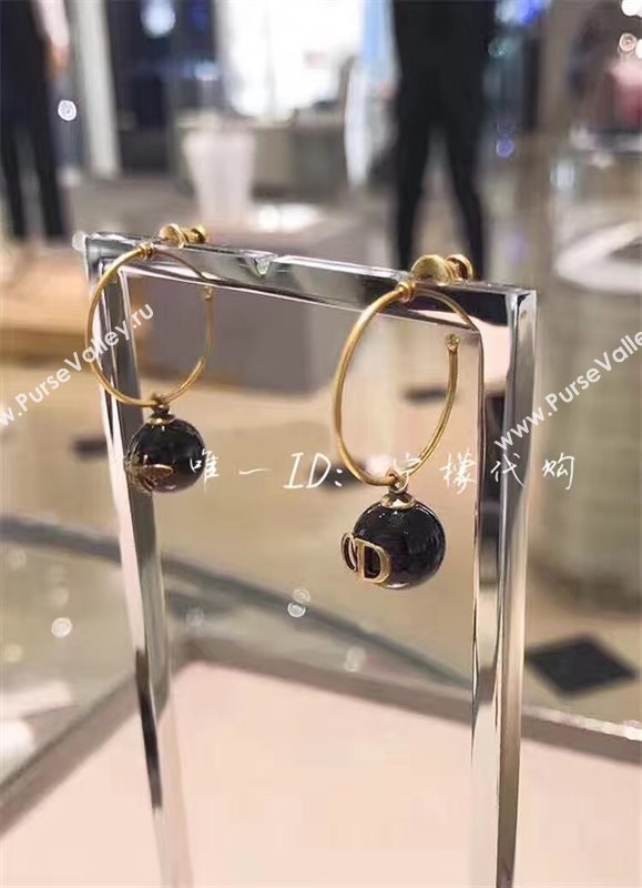 Dior earrings 3830
