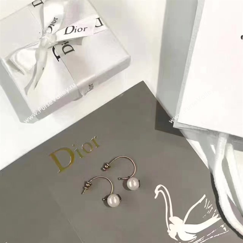 Dior earrings 3830