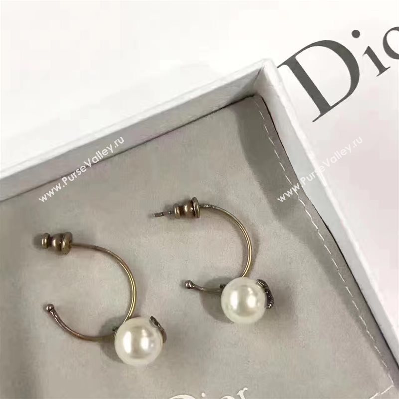 Dior earrings 3830