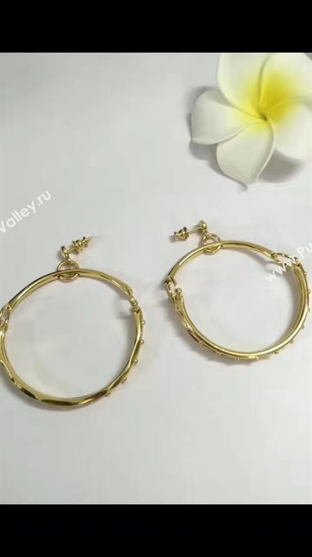 Chloe earrings 3836