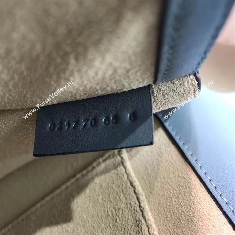 Chloe nile shoulder bracelet bag 4455