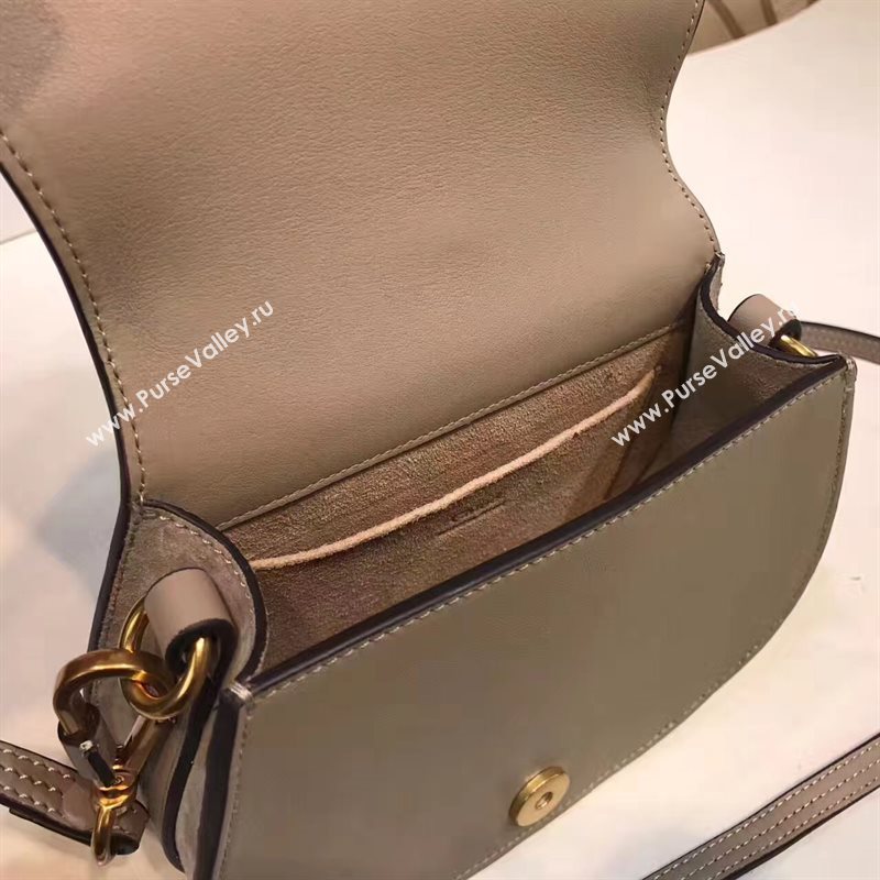 Chloe small nile bracelet shoulder gray bag 4464