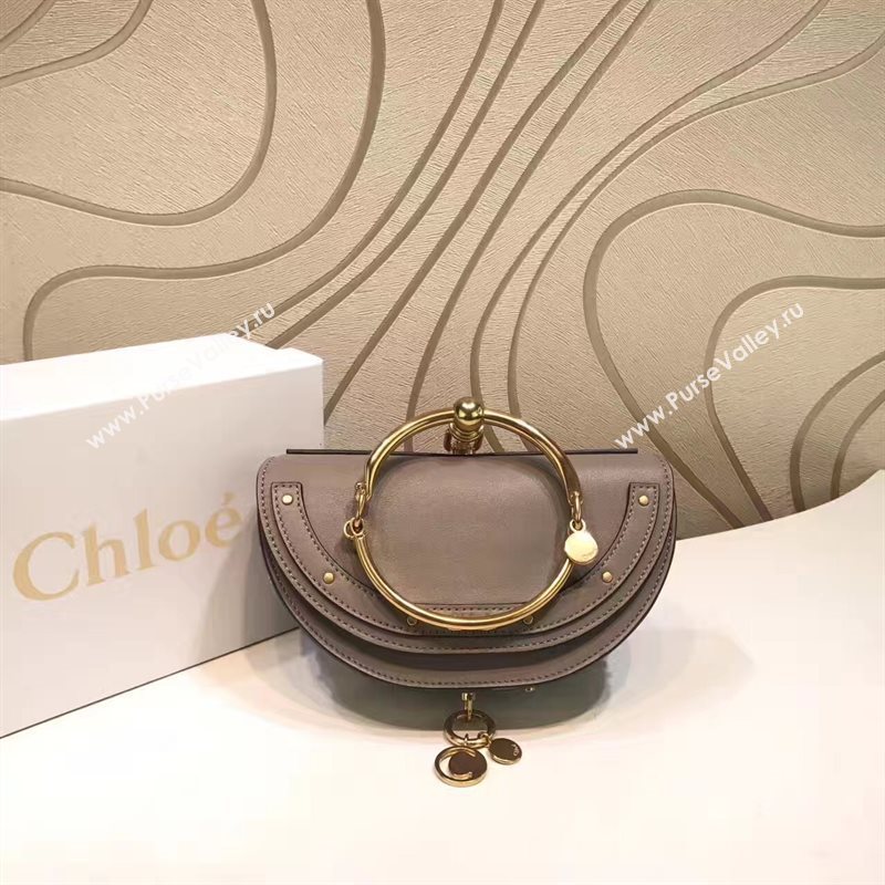 Chloe nile bag 4429