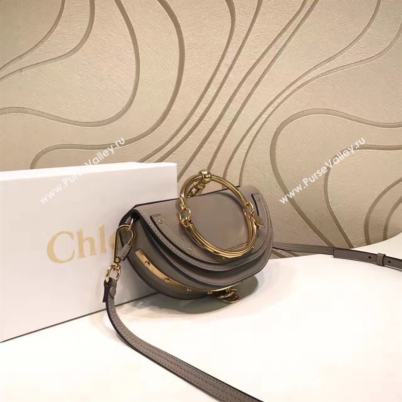 Chloe nile bag 4429