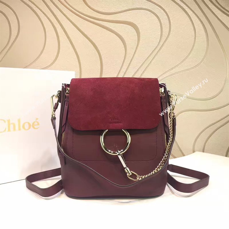 Chloe faye backpack wine bag 4432
