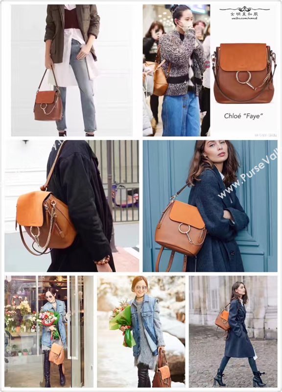 Chloe faye backpack wine bag 4432