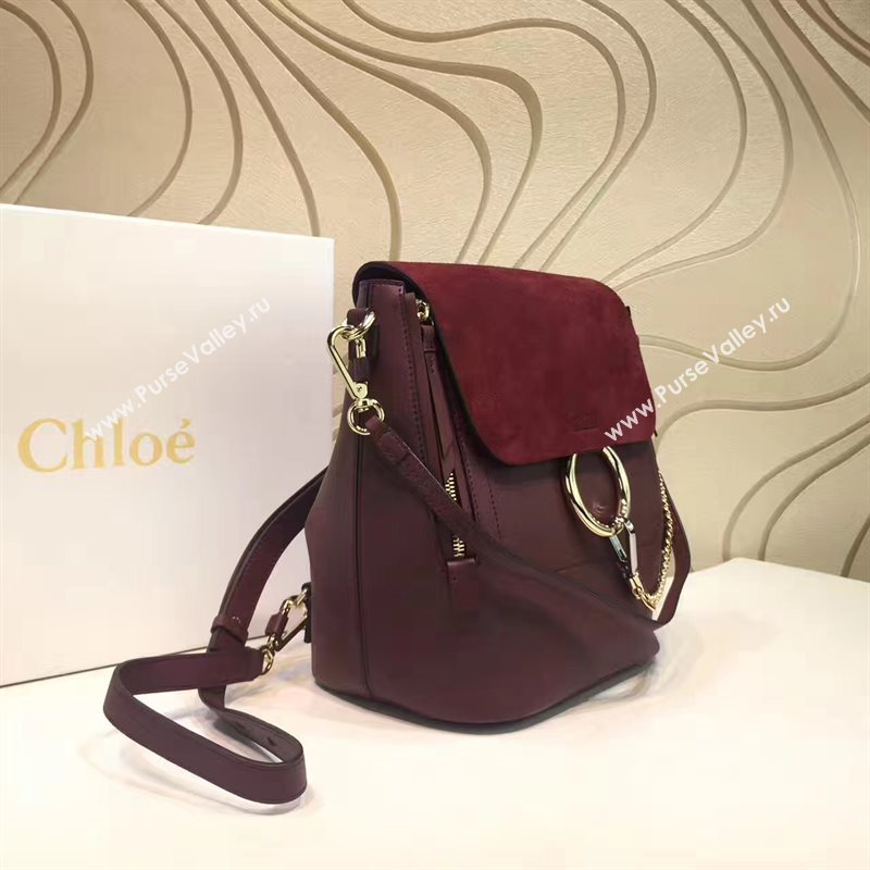 Chloe faye backpack wine bag 4432