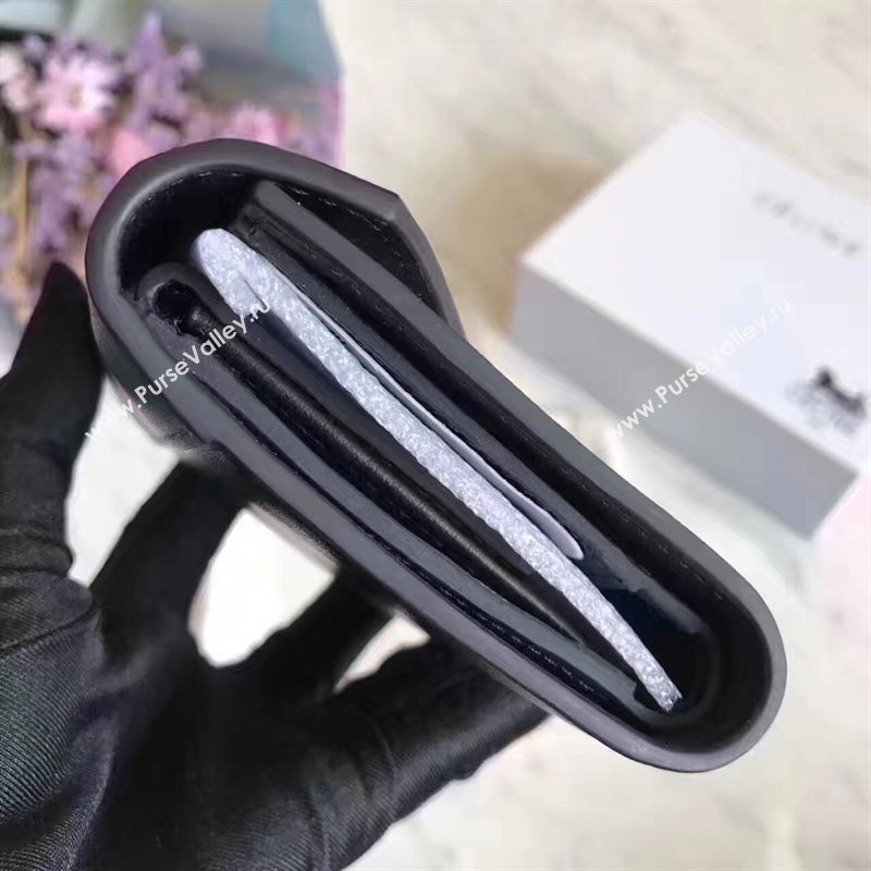 Celine black v wallet green bag 4542