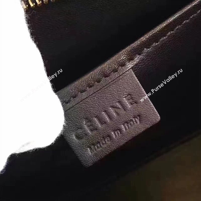 Celine nano black tan Boston red bag 4585