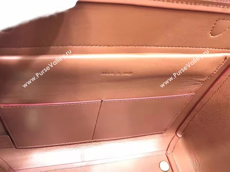 Celine medium belt wine bag 4591