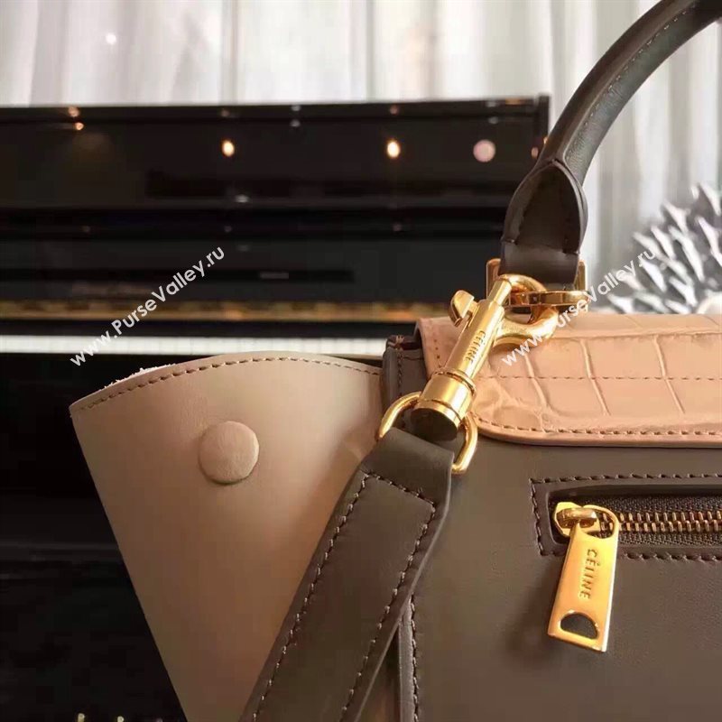 Celine tri-colors tan v Trapeze gray bag 4510