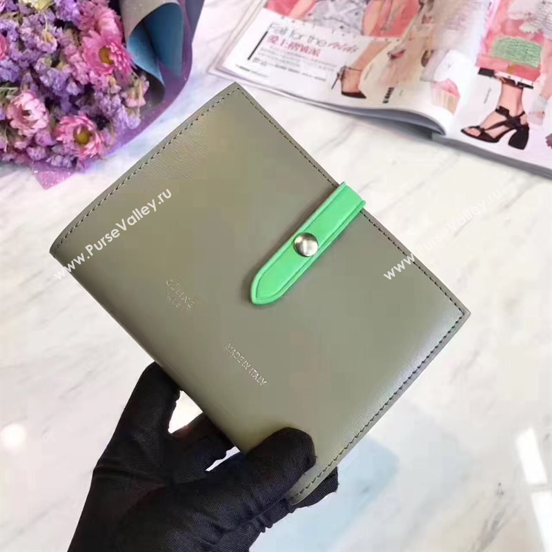 Celine gray v wallet green bag 4521