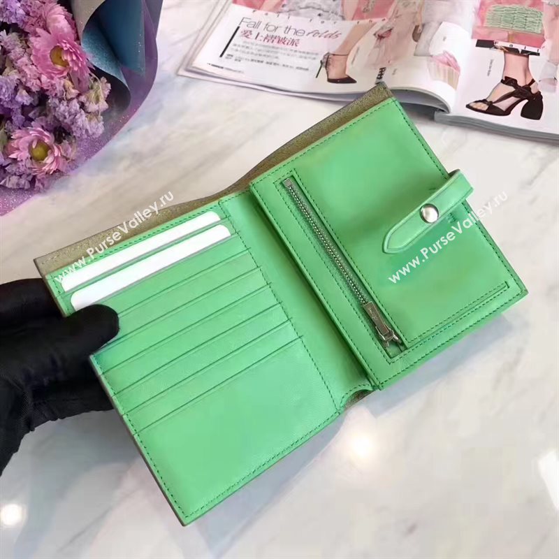 Celine gray v wallet green bag 4521