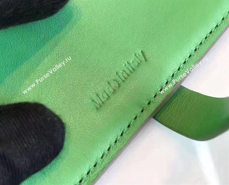 Celine gray v wallet green bag 4521