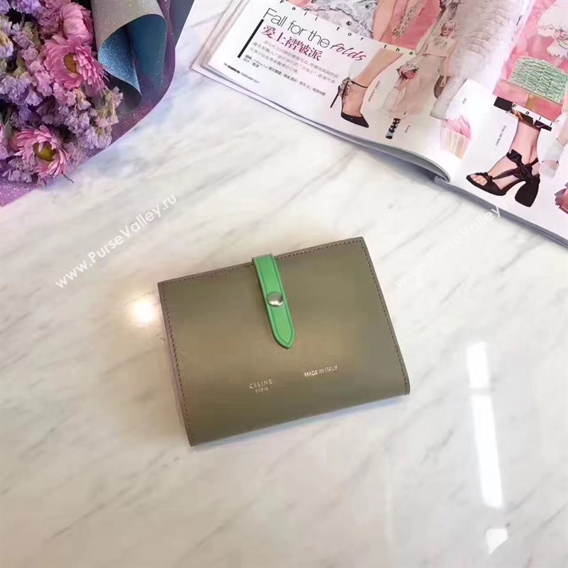 Celine gray v wallet green bag 4521