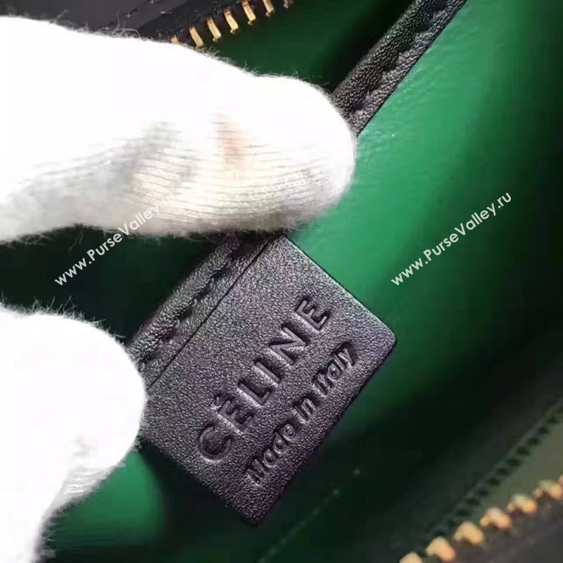 Celine nano black v Boston green bag 4672