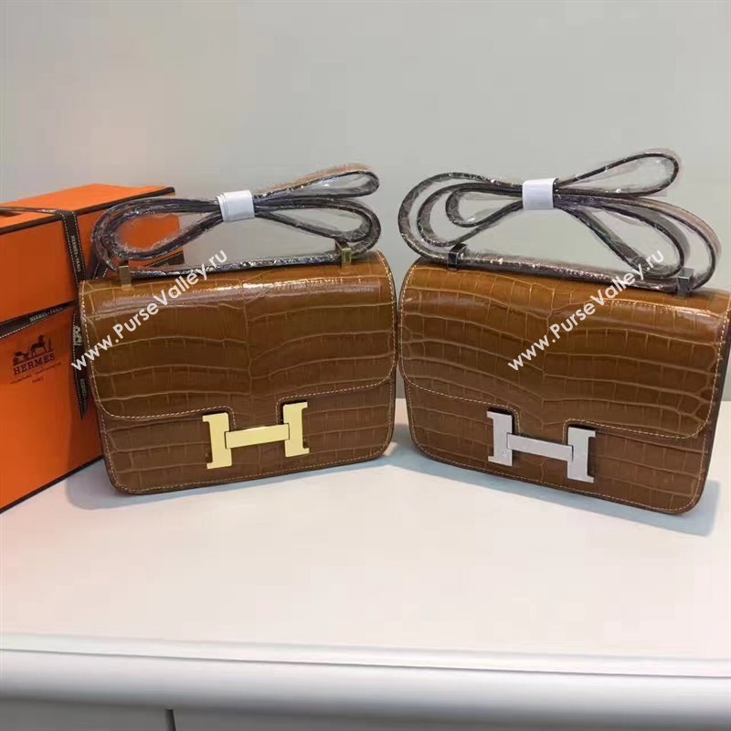 Hermes crocodile Constance tan paint bag 5054