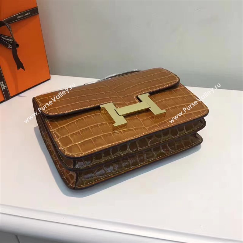 Hermes crocodile Constance tan paint bag 5054