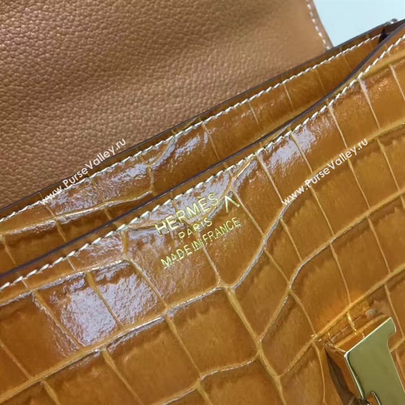 Hermes crocodile Constance tan paint bag 5054