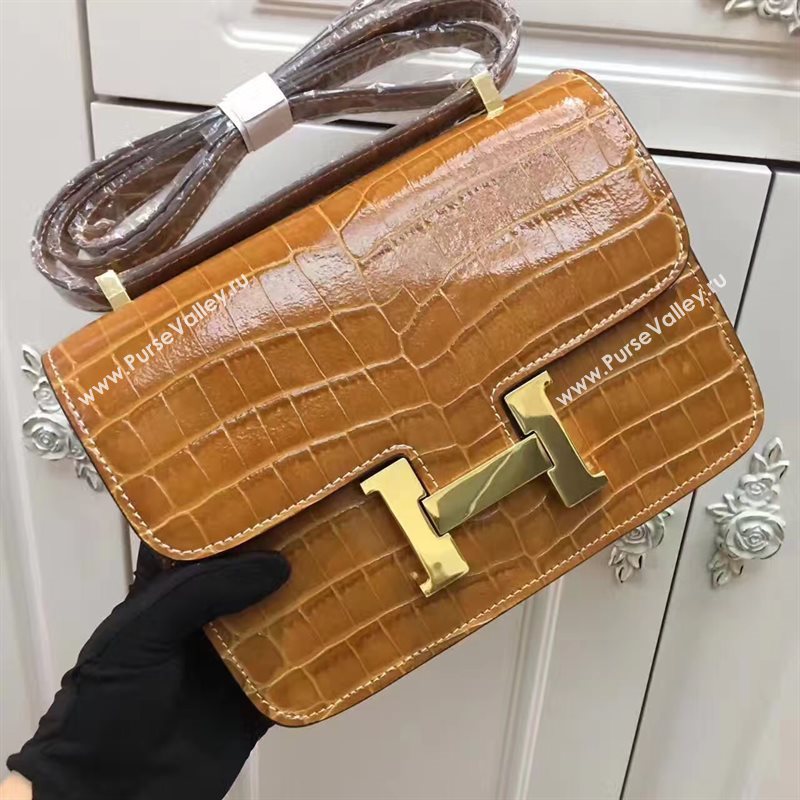 Hermes crocodile Constance tan paint bag 5054