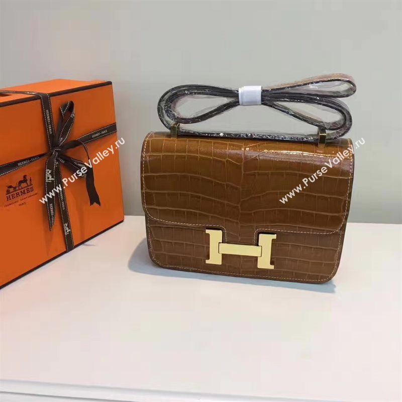 Hermes crocodile Constance tan paint bag 5054