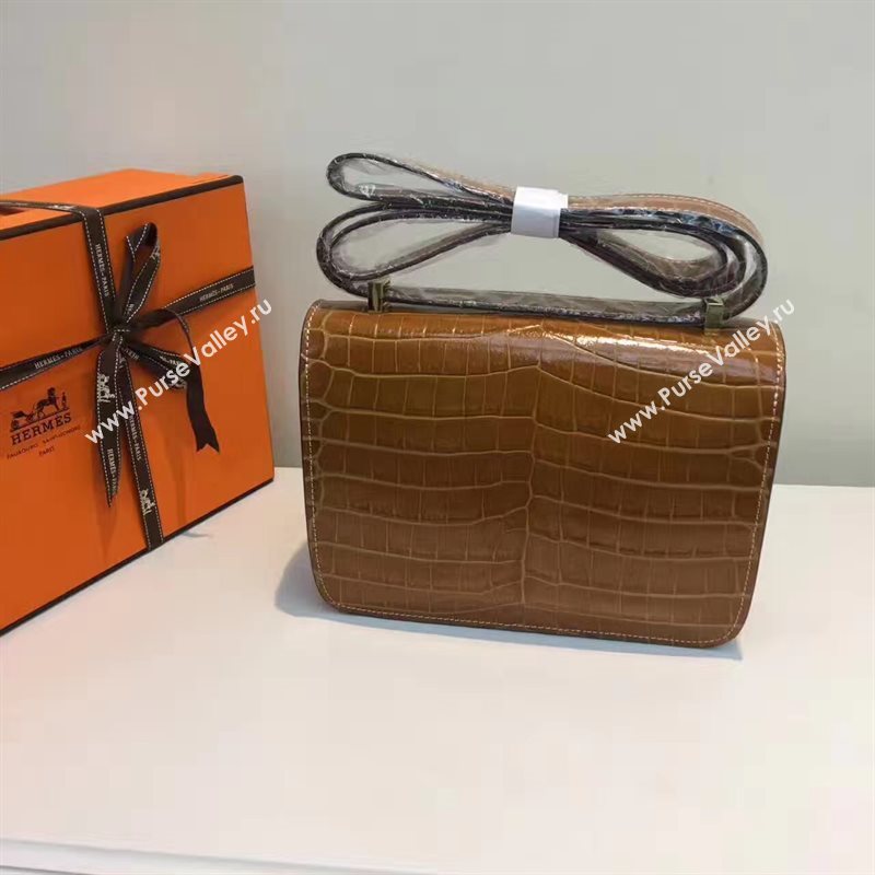 Hermes crocodile Constance tan paint bag 5054