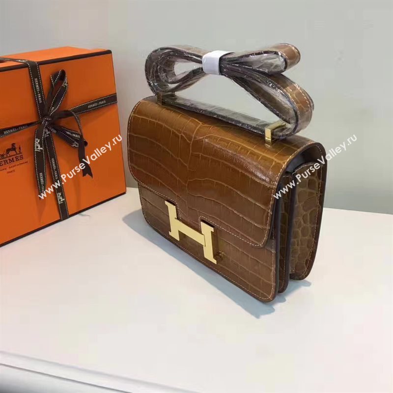 Hermes crocodile Constance tan paint bag 5054
