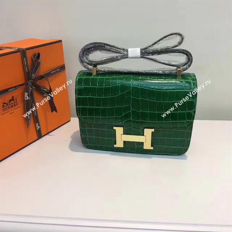 Hermes crocodile Constance green paint bag 5056