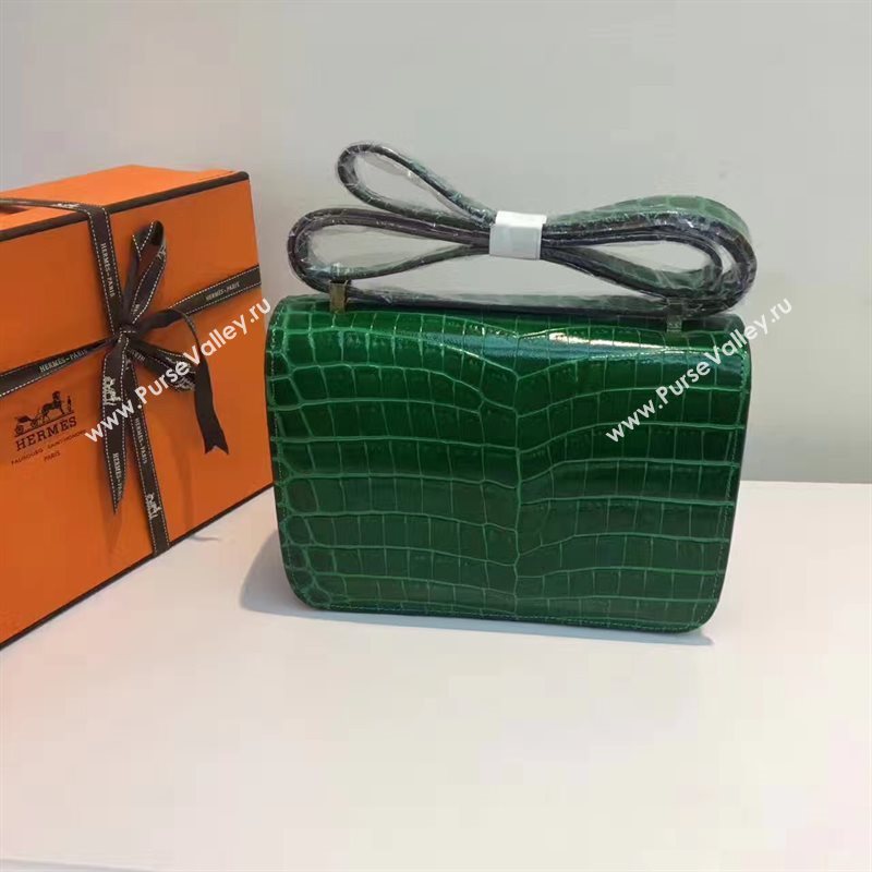 Hermes crocodile Constance green paint bag 5056