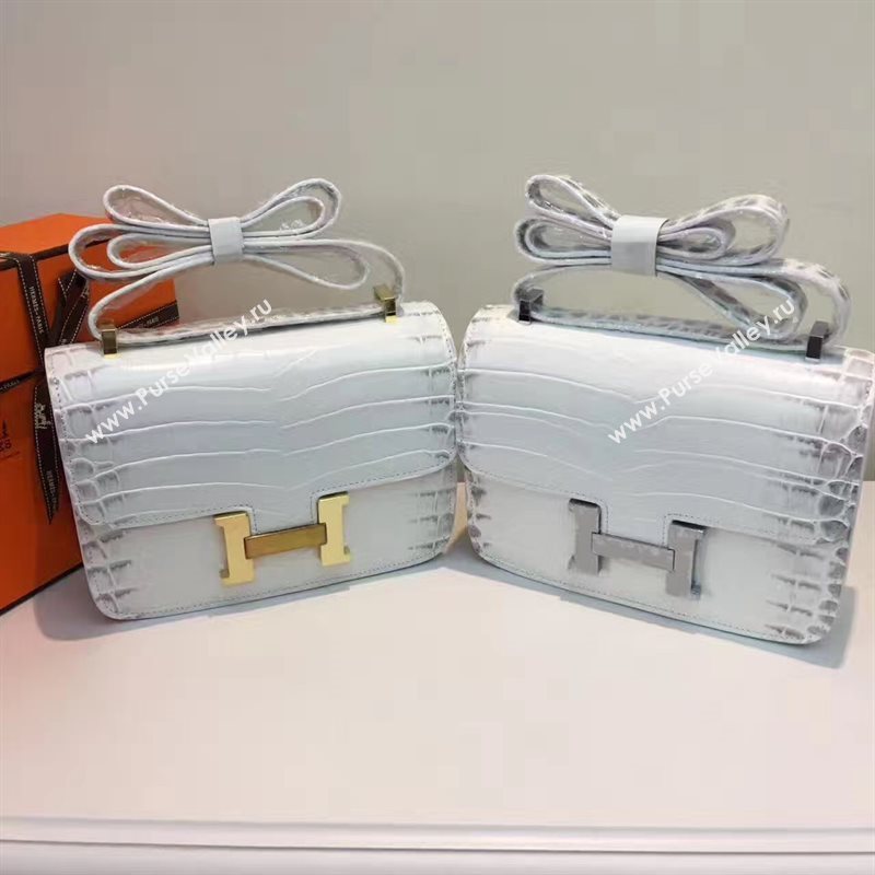 Hermes crocodile Constance gray paint bag 5059