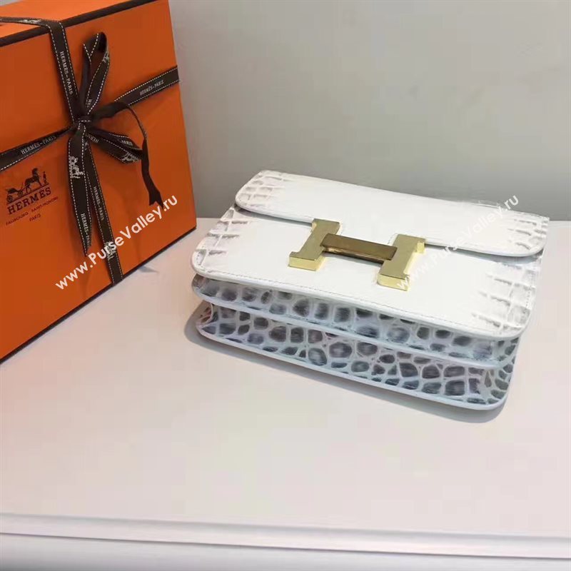 Hermes crocodile Constance gray paint bag 5059