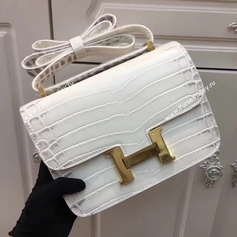Hermes crocodile Constance gray paint bag 5059