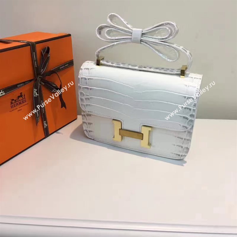 Hermes crocodile Constance gray paint bag 5059