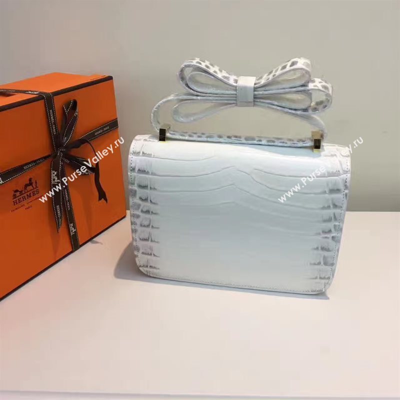 Hermes crocodile Constance gray paint bag 5059