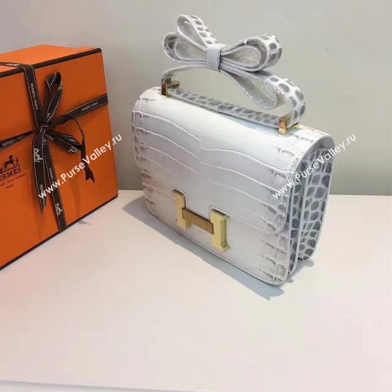 Hermes crocodile Constance gray paint bag 5059