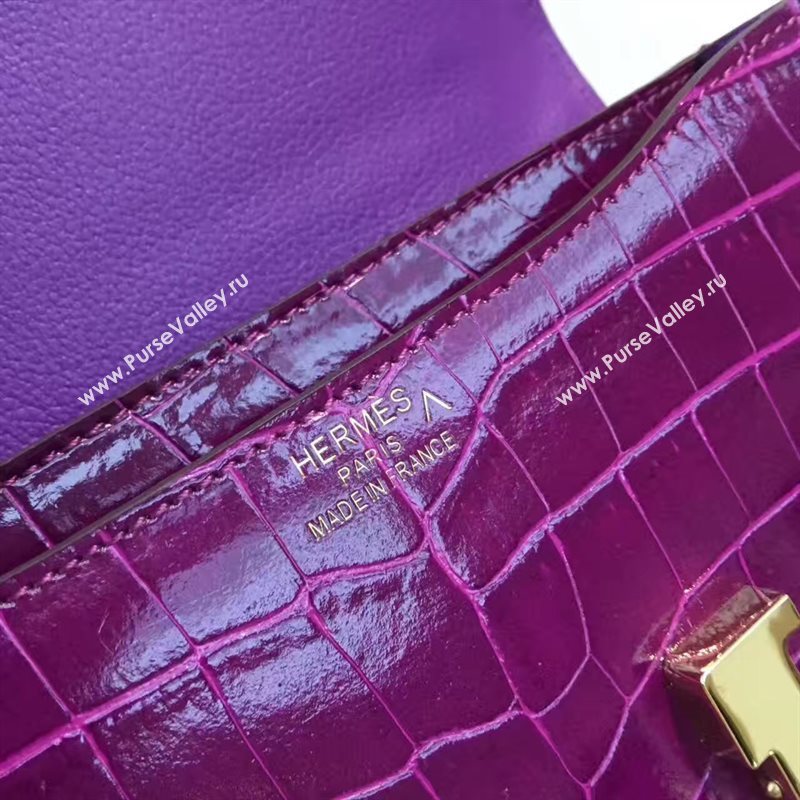 Hermes crocodile Constance wine paint bag 5061