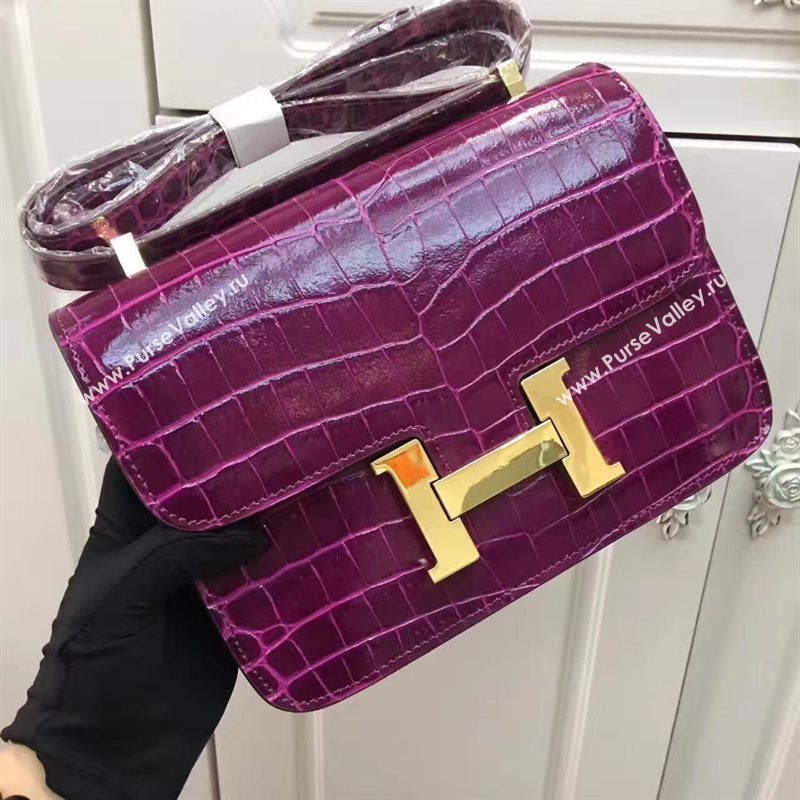 Hermes crocodile Constance wine paint bag 5061