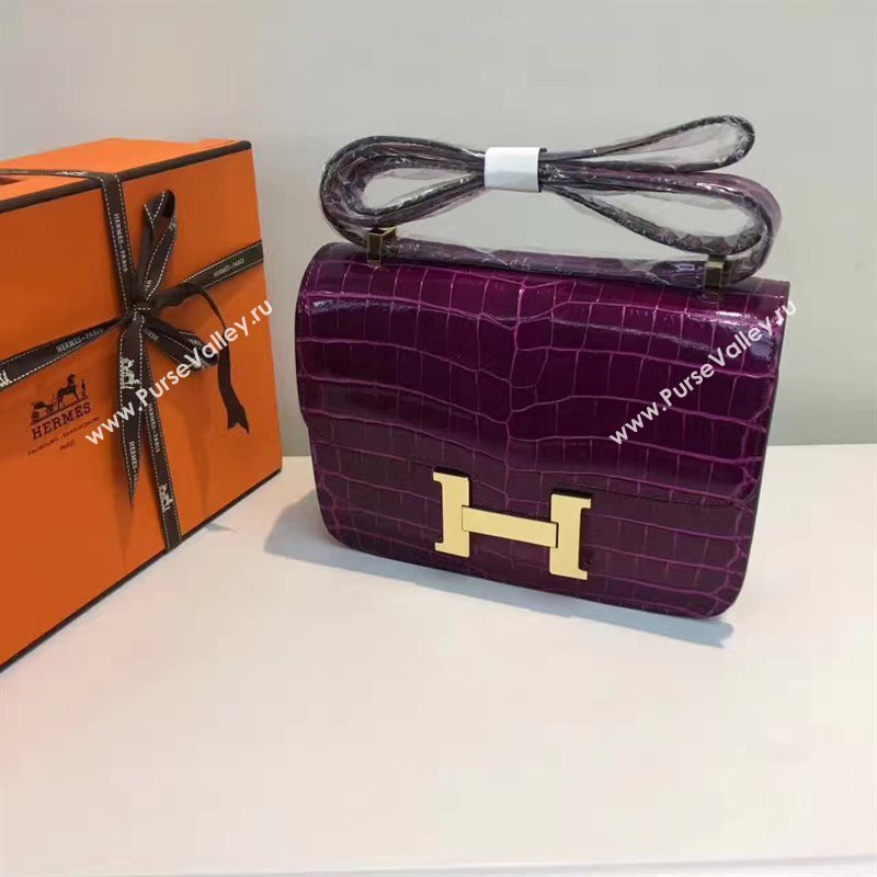 Hermes crocodile Constance wine paint bag 5061