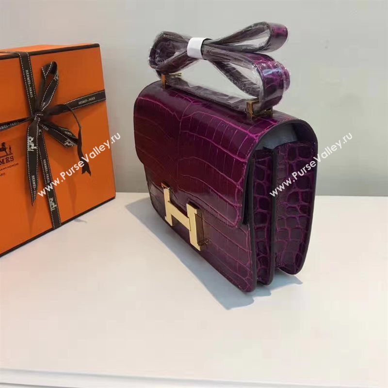 Hermes crocodile Constance wine paint bag 5061