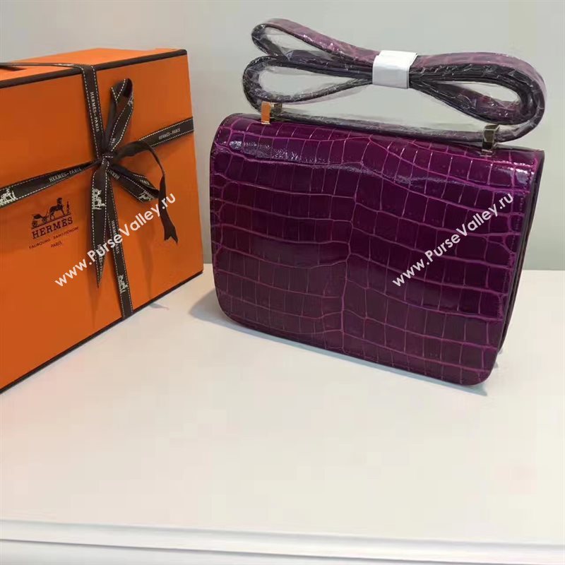 Hermes crocodile Constance wine paint bag 5061