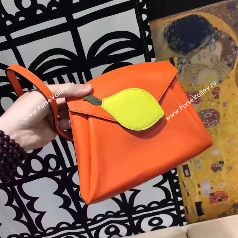 Hermes new small shoulder orange bag 5141